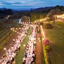 whatsapp image 2025-11-01 at 14 whatsapp image 2025-11-01 at 14